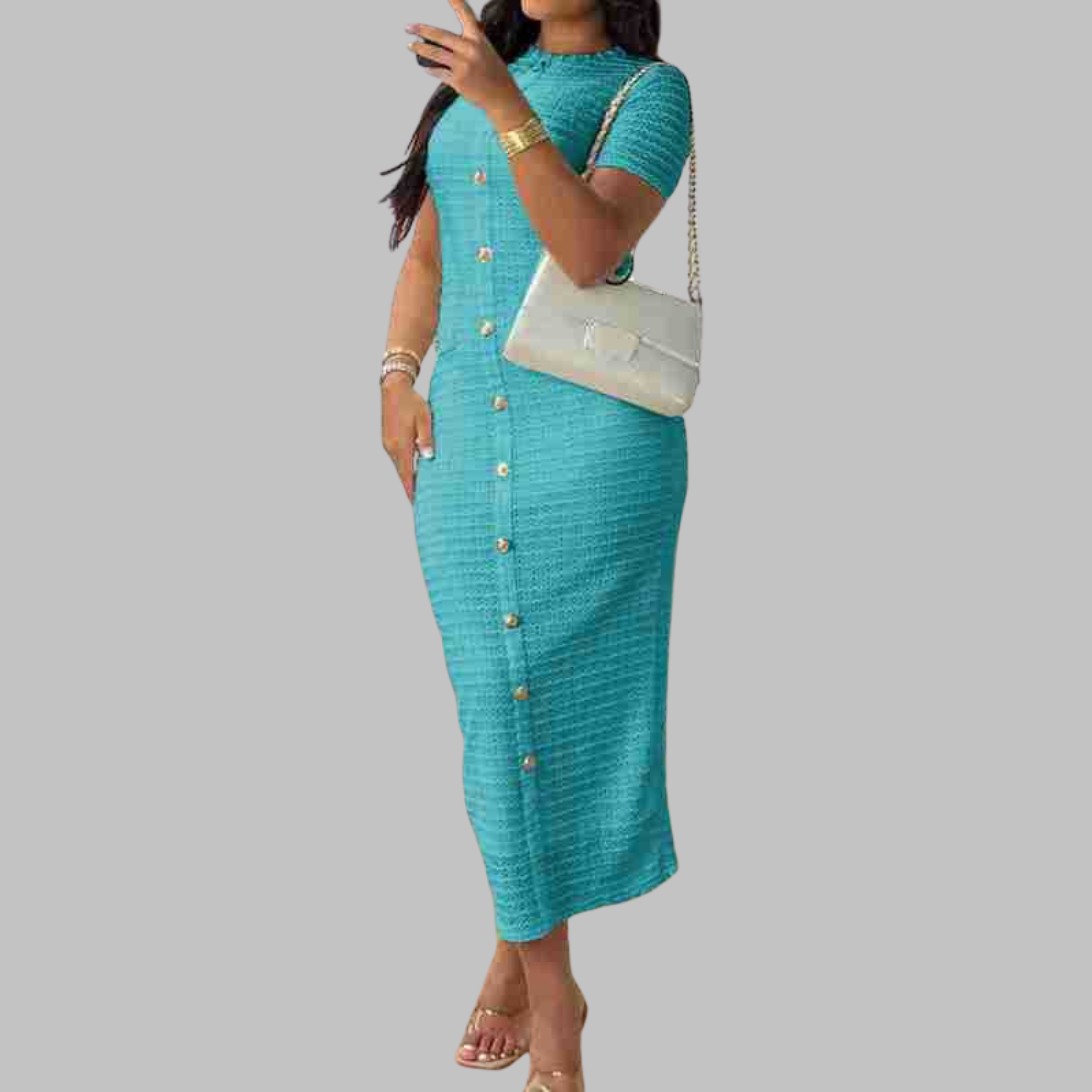 Lira | Elegant Round Neck Fake Button Dress